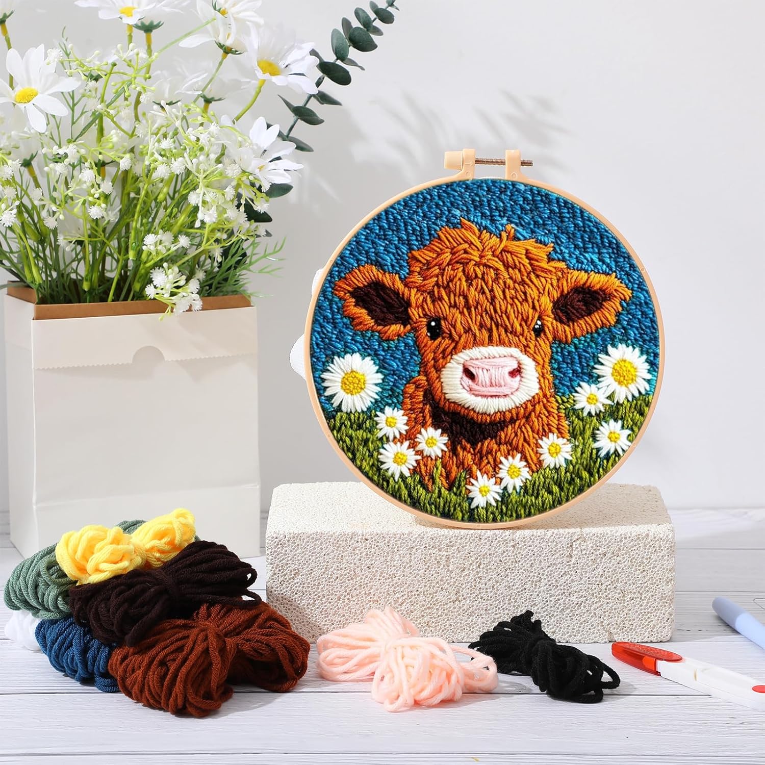 DIY Punch Needle Kits voor beg - Embroidery Hoop Square recensie en prijs