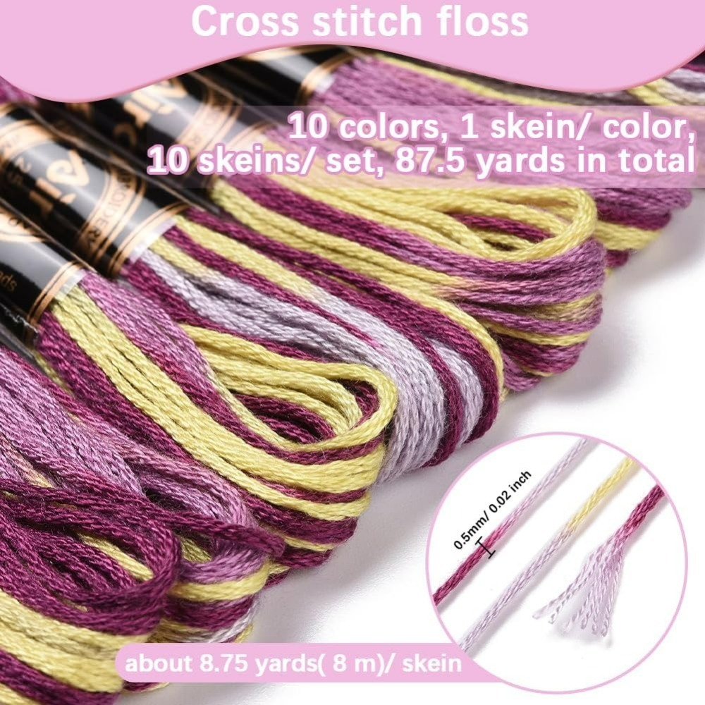 6-strengen paars bonte borduur - Embroidery Stitch recensie en prijs
