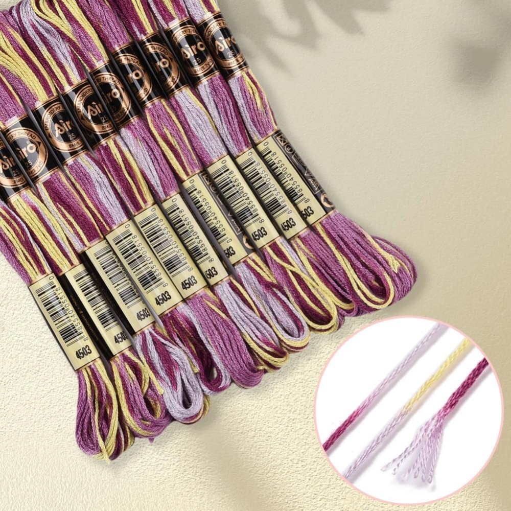 6-strengen paars bonte borduur - Embroidery Stitch recensie en prijs
